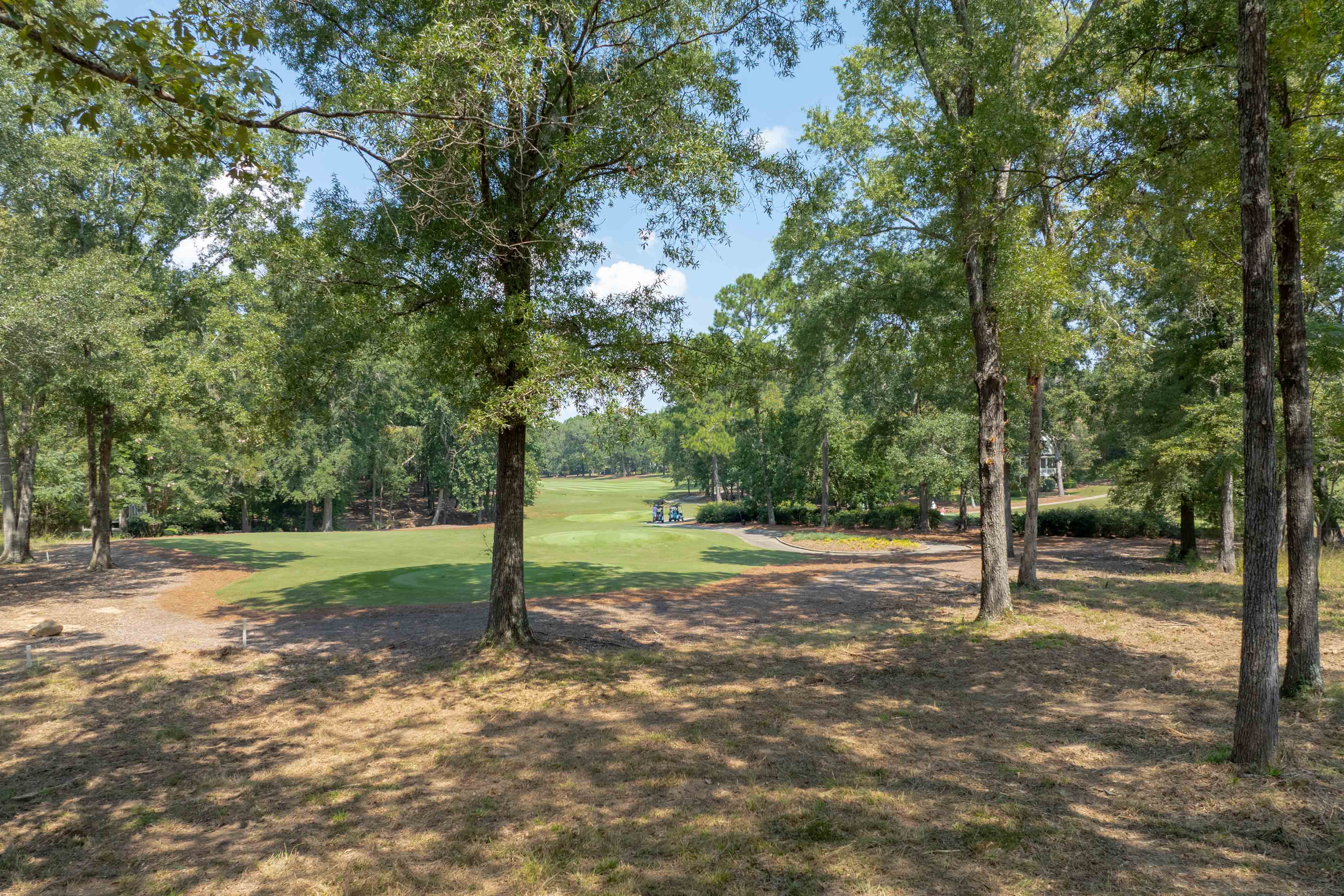 161 Broadlands Drive image 2